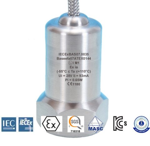 AC Standard HS100I Egensikrede akselerometer Top Entry