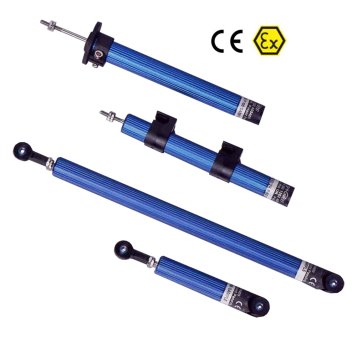 Related product