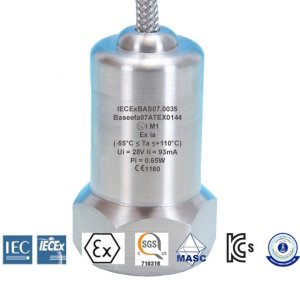 AC Standard HS100I Intrinsically safe accelerometer Top Entry